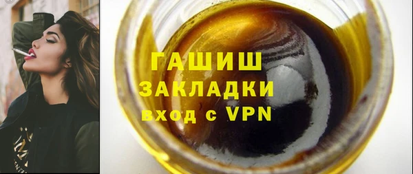 амф Тайга
