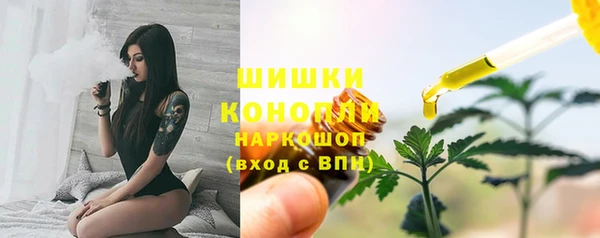 ГАЛЛЮЦИНОГЕННЫЕ ГРИБЫ Армянск