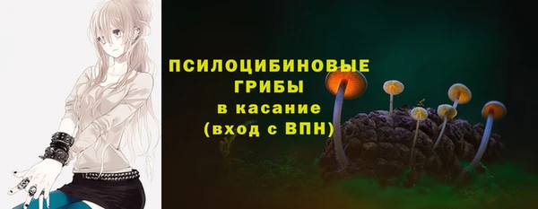 ГАЛЛЮЦИНОГЕННЫЕ ГРИБЫ Армянск