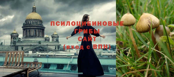 ГАЛЛЮЦИНОГЕННЫЕ ГРИБЫ Армянск