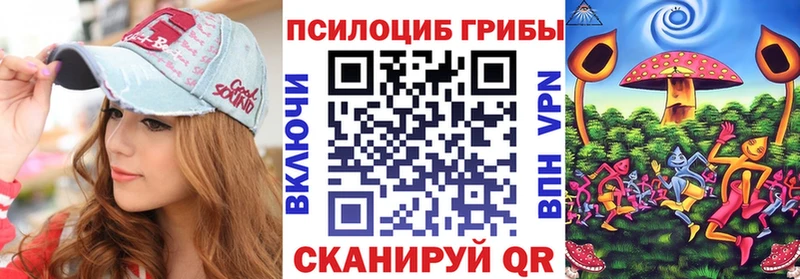 Псилоцибиновые грибы Cubensis  Дзержинск 