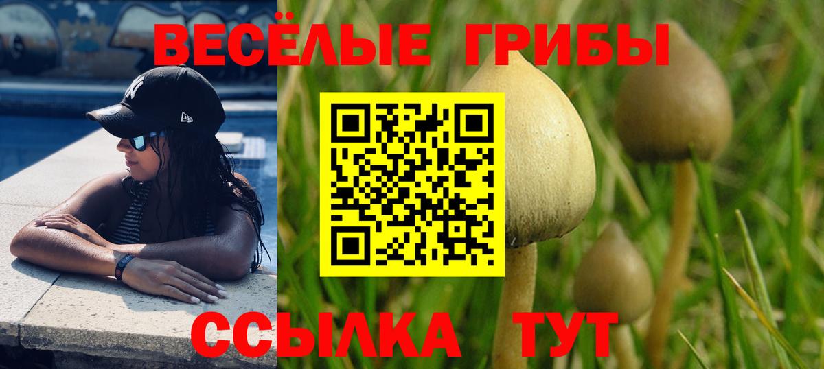Галлюциногенные грибы мухоморы  Вход с VPN  Дзержинск 